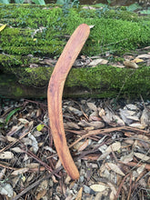 Load image into Gallery viewer, Solid Mallee Boomerang
