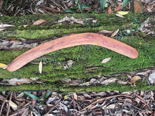 Load image into Gallery viewer, Solid Mallee Boomerang

